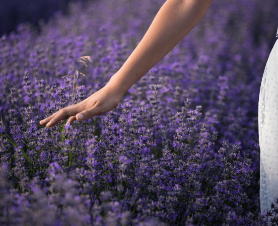 Clary Sage and Lavender