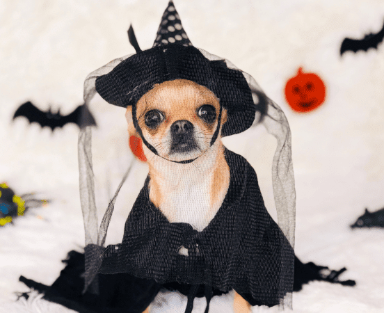 Halloween and mental health